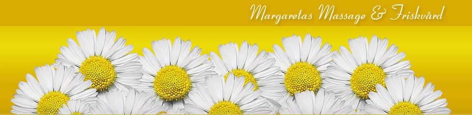 margaretadonosa.se margaretadonosa.se